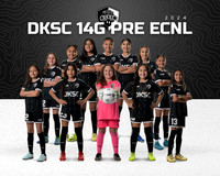 DKSC14G_GLDTW
