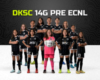 DKSC14G_GLDTX