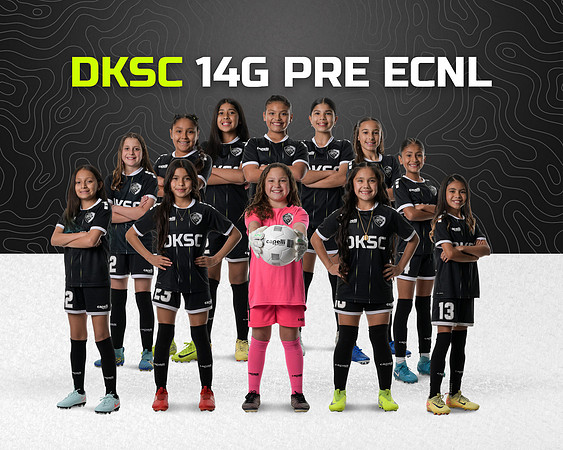 DKSC14G_GLDTX