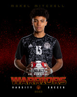 SGP_BALL_13