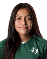 Head Shots JV