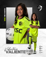 DKSC1_V18G-8
