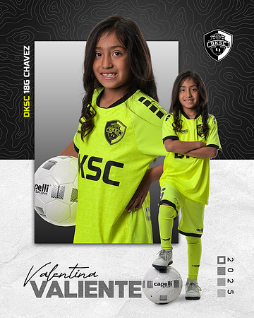 DKSC1_V18G-8