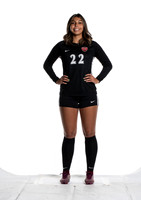 Lady Panther Media