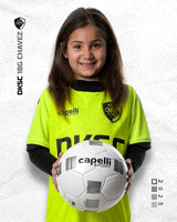 DKSC2_V18G-6