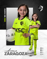 DKSC1_V18G-5