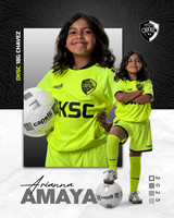 DKSC1_V18G-4