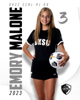 DKSC_08RL_POSTER_03