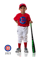 CUBS_Brice2