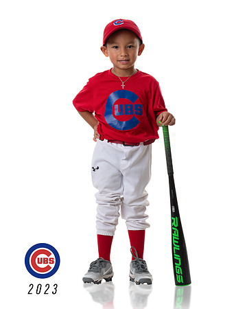 CUBS_Brice2