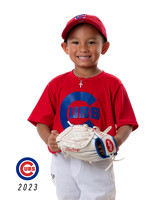 CUBS_Brice4