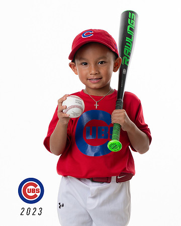 CUBS_Brice3