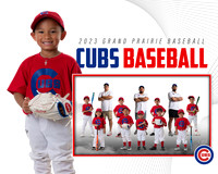 CUBS_Brice5