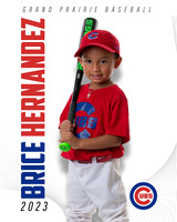 CUBS_Brice
