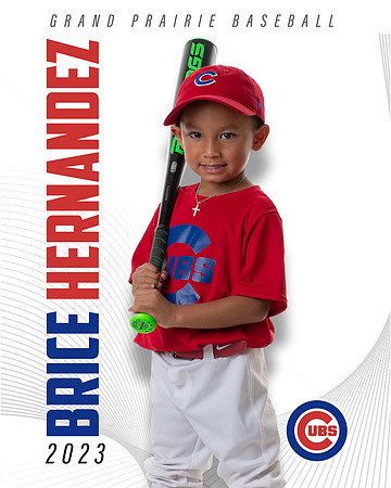 CUBS_Brice
