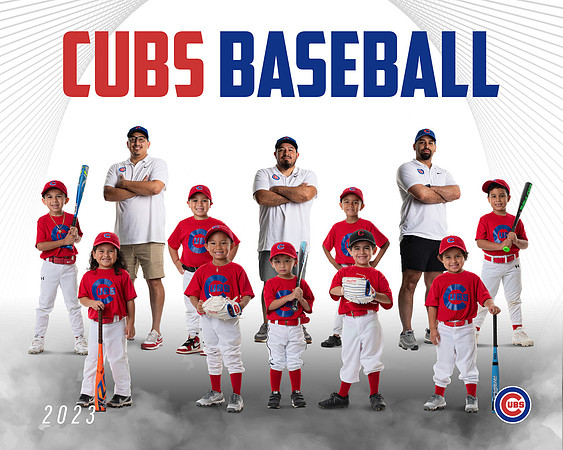CUBS_23TEAMPOSTER