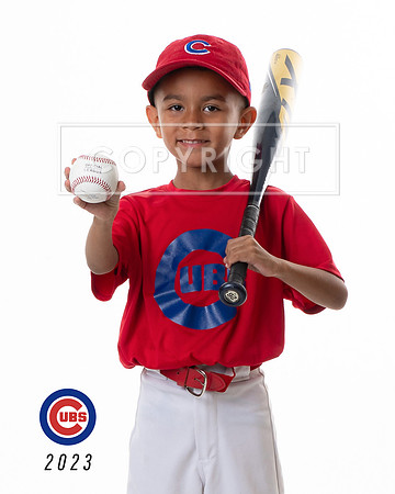 CUBS_Tre3