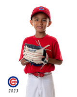 CUBS_Tre4
