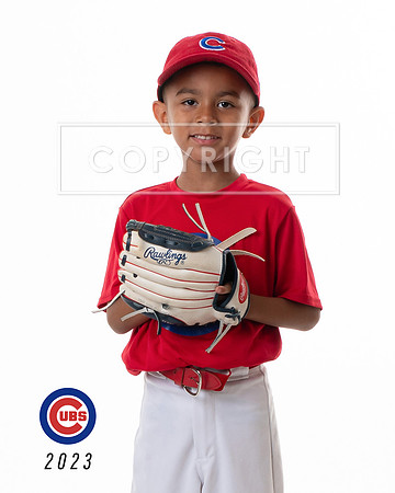 CUBS_Tre4