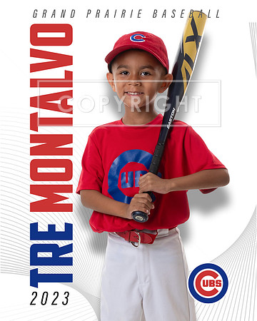 CUBS_Tre