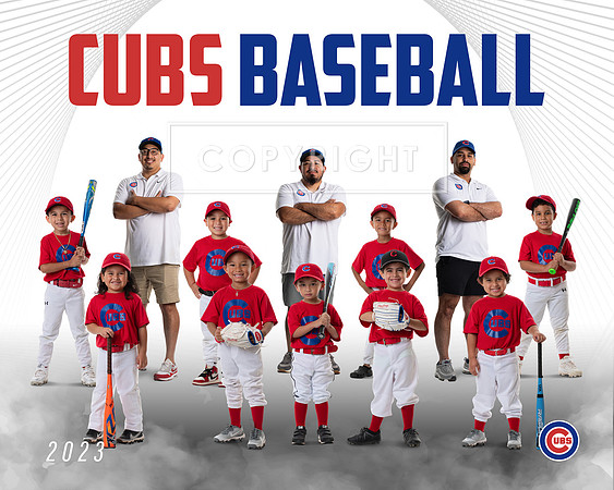 CUBS_23TEAMPOSTER