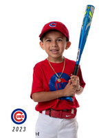 CUBS_Remy3