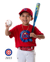 CUBS_Remy4