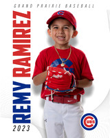 CUBS_Remy