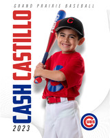 Cash