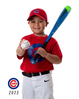 CUBS_Ian4
