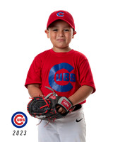 CUBS_Ian3