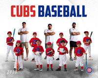 CUBS_23TEAMPOSTER