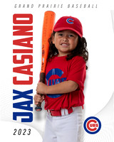 CUBS_Jax