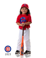 CUBS_Jax2