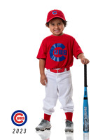 CUBS_Sebastian2