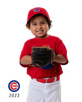 CUBS_Sebastian4