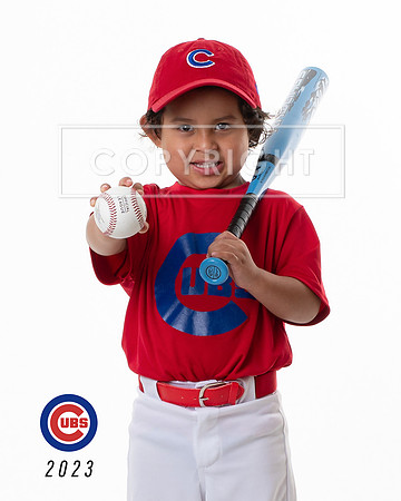CUBS_Sebastian3