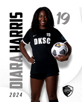 DKSC_Poster_19