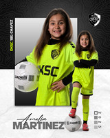 DKSC1_V18G-6