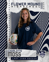 JV-14_45TV