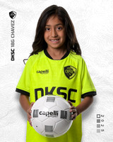 DKSC2_V18G-8