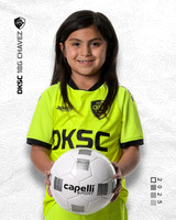 DKSC2_V18G-2