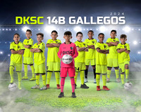 Portal_DKSC14BT_X