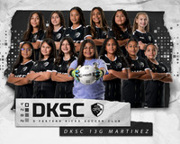 DKSC_T24_13G