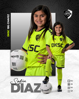 DKSC1_V18G-2