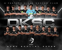 DKSC_BT_08RL