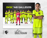 DKSC_T8