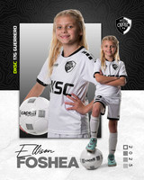 Player Posters