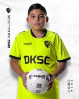 DKSC_I10