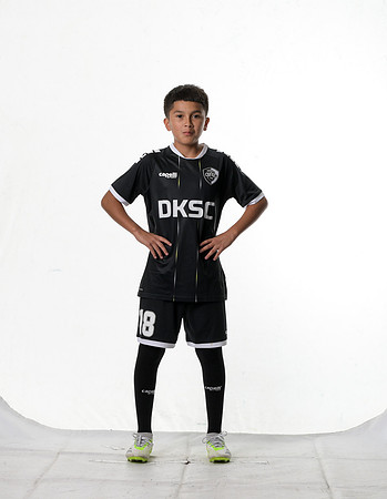 12BRL_FBX-1